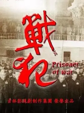 《战犯》：正义与复仇的较量，揭秘战争背后的残酷真相