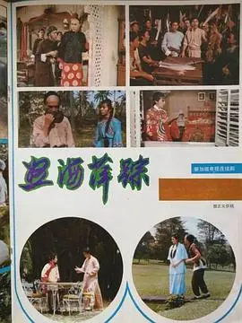 《怒海萍踪》：惊涛骇浪中的命运交织，揭秘历史迷雾下的爱恨情仇与家国大义