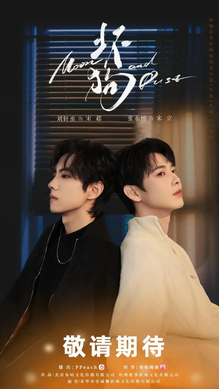 《坏狗》：忠诚与背叛的边缘试探，黑帮世界的生存法则，警匪爱情能否善终？