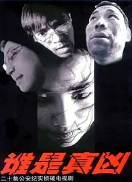 《谁是真凶》深度解析：反转烧脑，人性迷局，年度悬疑佳作不容错过！