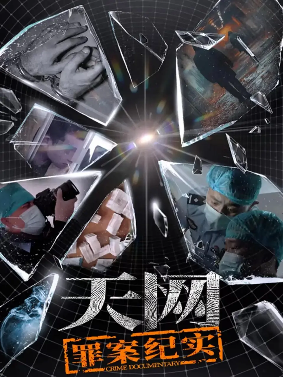 《天网：罪案纪实》：揭秘真实罪案，震撼人心的正义之战！