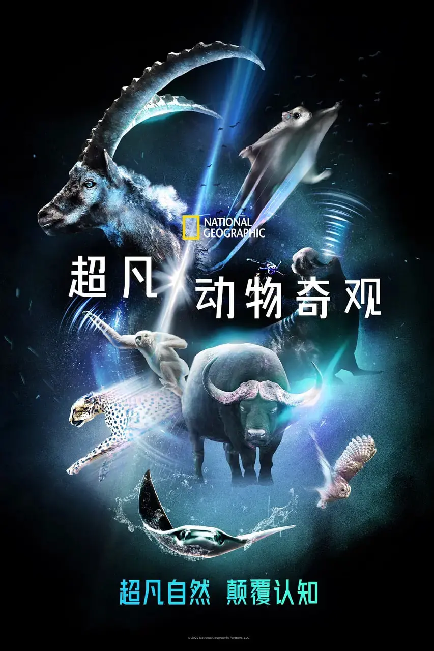 探索超凡动物的奇妙冒险：一部视觉震撼的奇幻电影大作