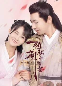 《王府软萌小刺客》：软萌外表下的狠辣身手，一场关于身份与救赎的古装反差萌冒险